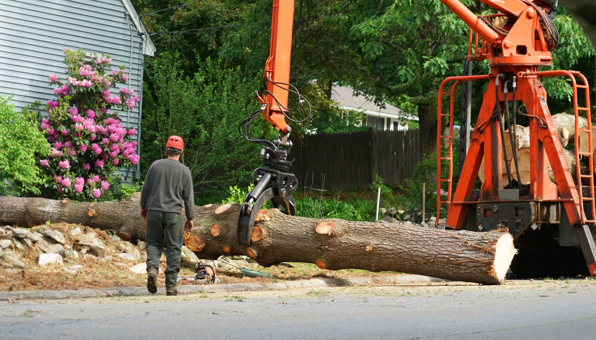 Local partner for Tree removal services in Melbourne