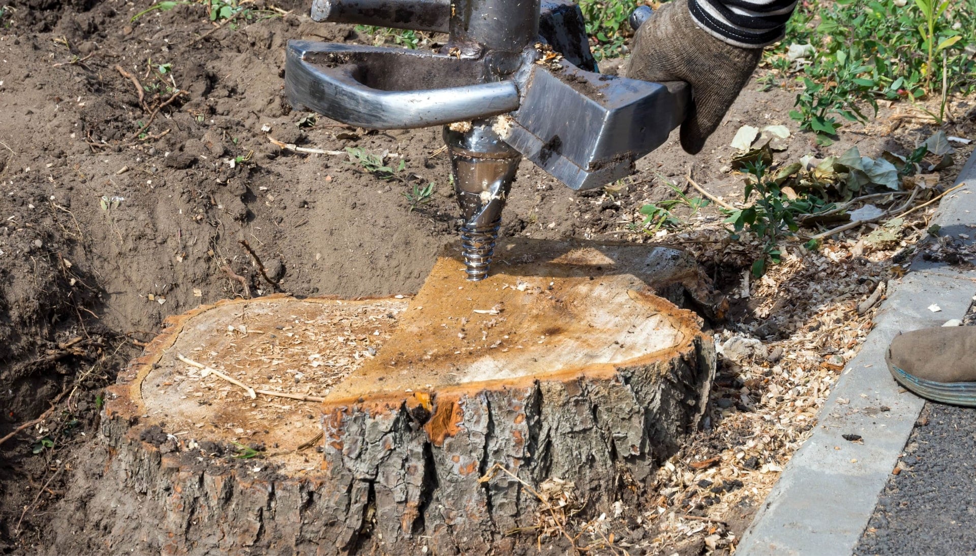 Melbourne Tree stump removal